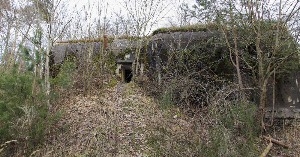Ligne Maginot - BOIS DE RITTERSHOFFEN 6 - (Casemate d'infanterie - Simple) - Façade de l'entrée - GRASSER Michel