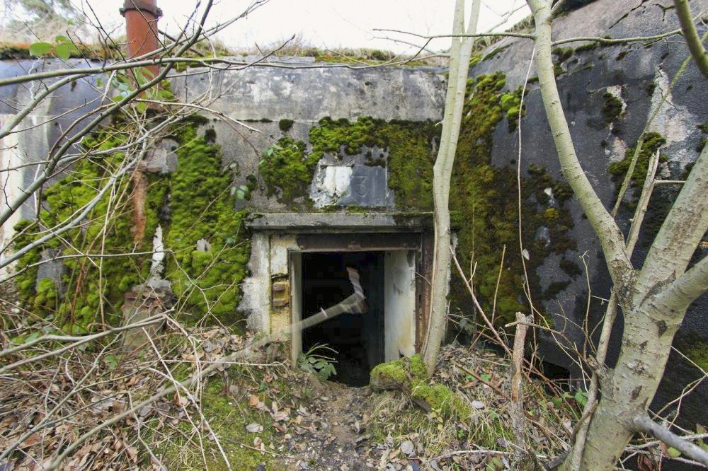 Ligne Maginot - BOIS DE RITTERSHOFFEN 6 - (Casemate d'infanterie - Simple) - L'entrée en partie merlonnée - GRASSER Michel