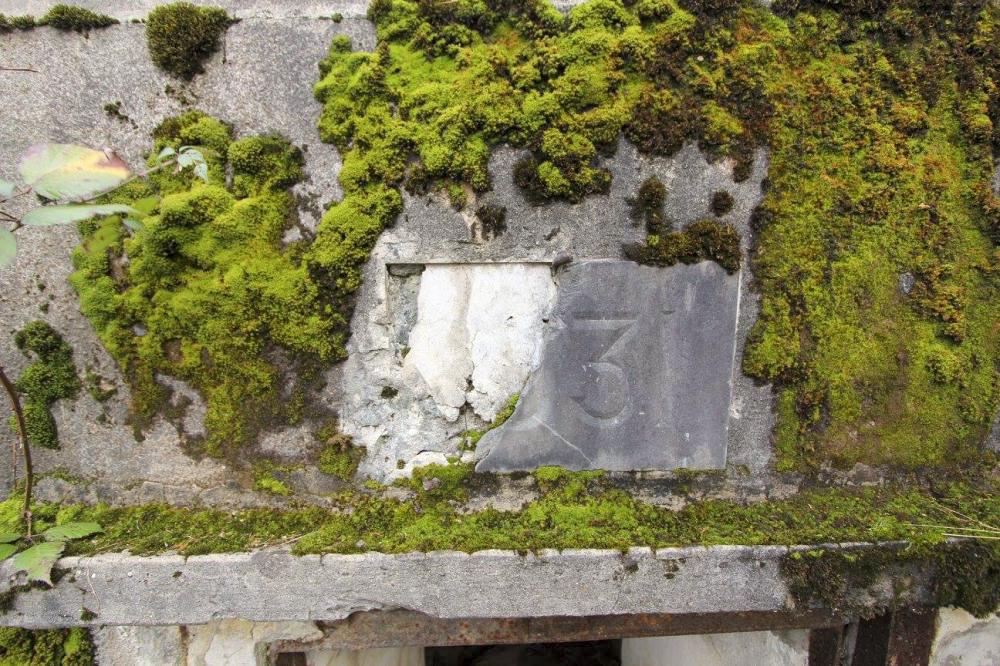 Ligne Maginot - BOIS DE RITTERSHOFFEN 6 - (Casemate d'infanterie - Simple) - Cartouche 1931 endommagé - GRASSER Michel