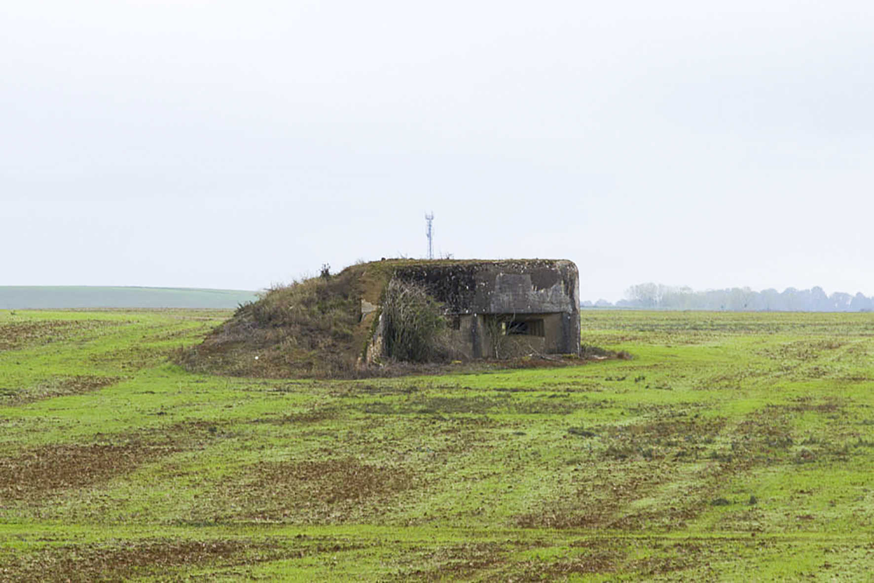 Ligne Maginot - MB341 - (Blockhaus pour canon) -  - Michel Teiten