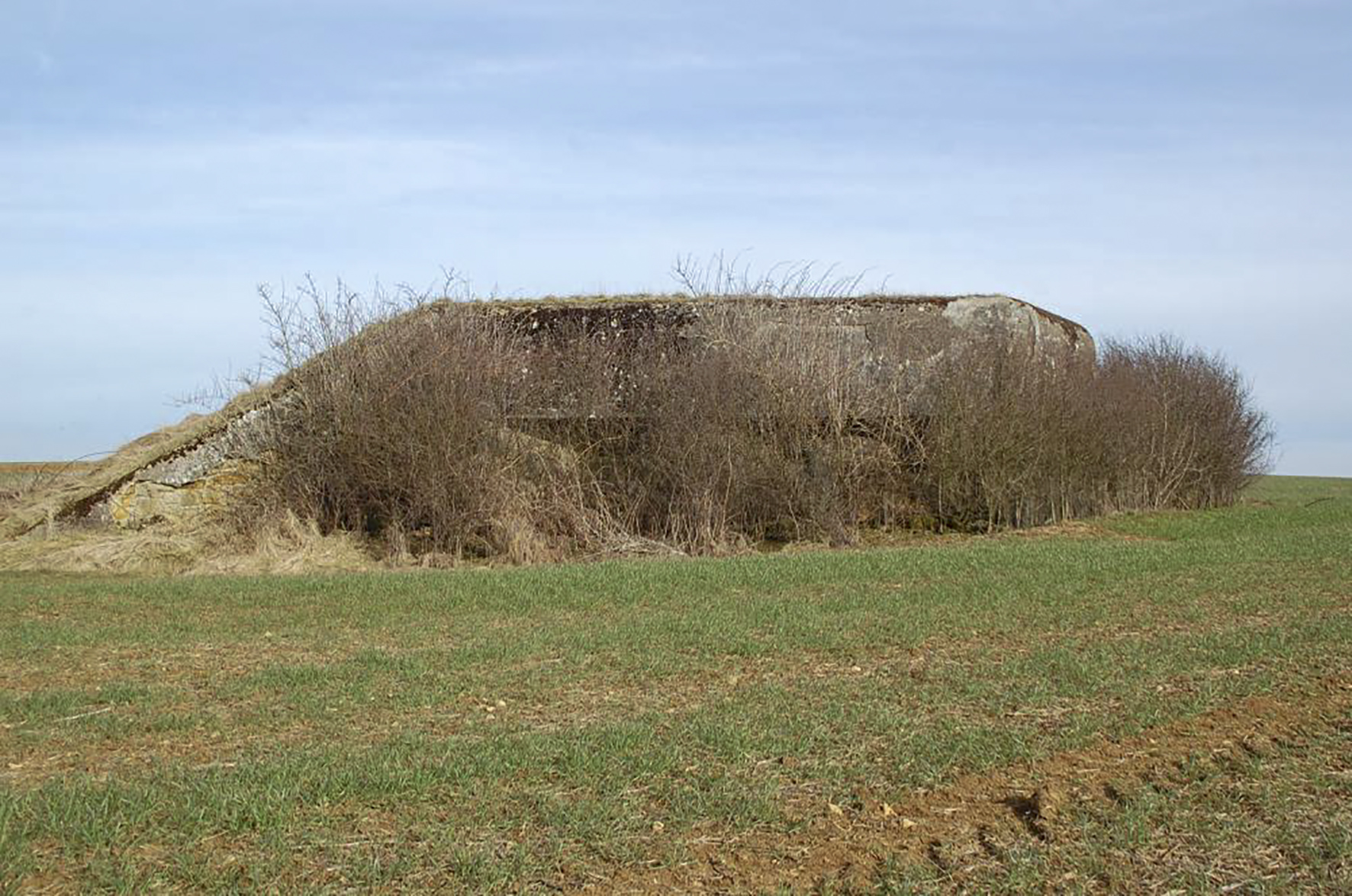 Ligne Maginot - MB341 - (Blockhaus pour canon) - L'ouvrage... Vue générale, malheureusement celui ci est entouré de ronces et autres plantes désagréables qui condamnent l'accès... Un retour avec sécateur et cisaille est envisagé... - Christian RICHON/devoitine520