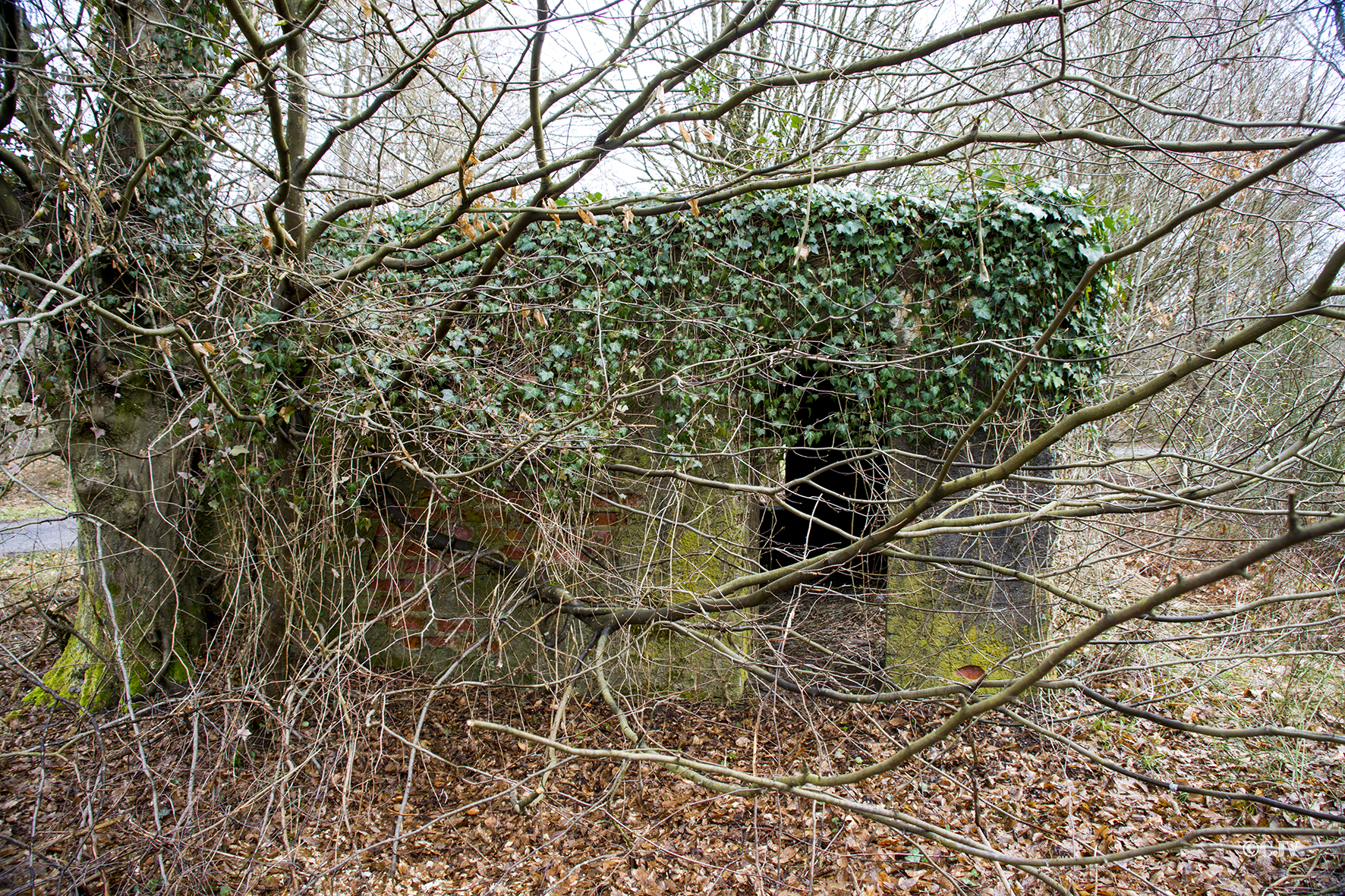 Ligne Maginot - CARREFOUR PERREAUD 1 - (Blockhaus pour canon) -  - Lia VERMEULEN
