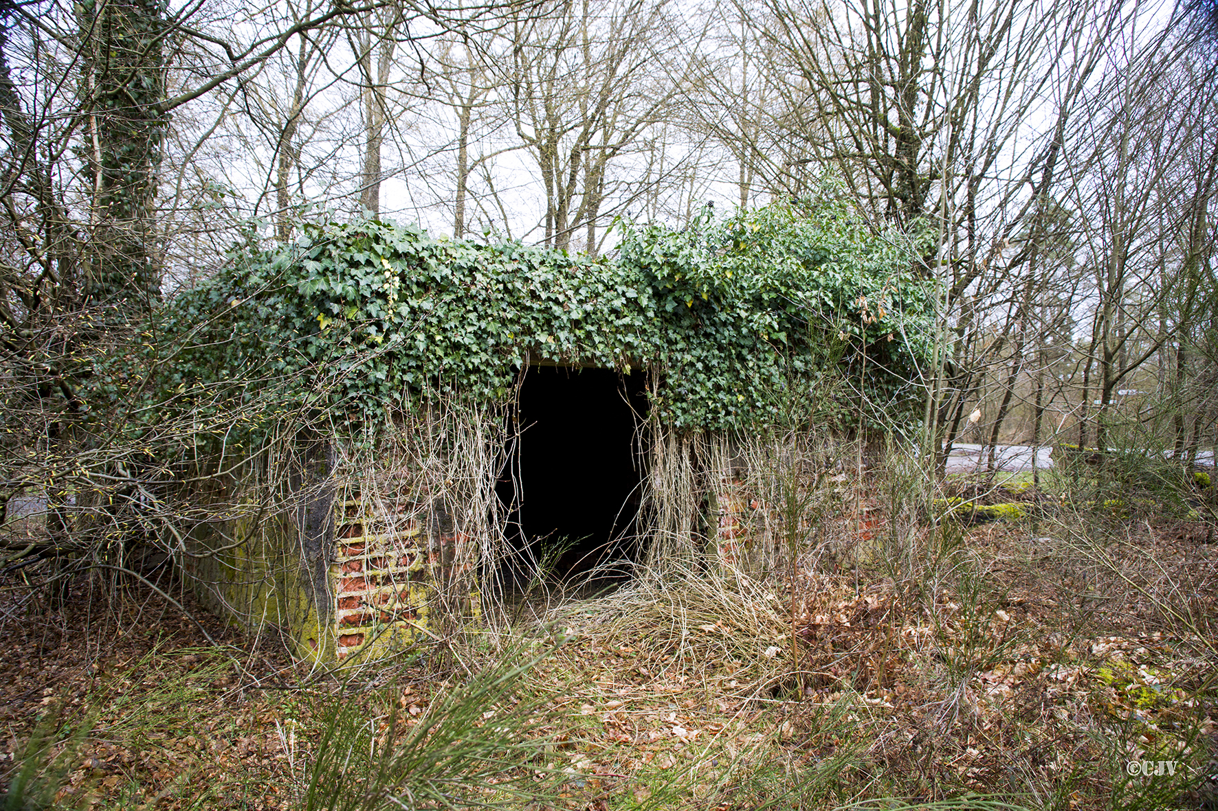Ligne Maginot - CARREFOUR PERREAUD 1 - (Blockhaus pour canon) -  - Lia VERMEULEN