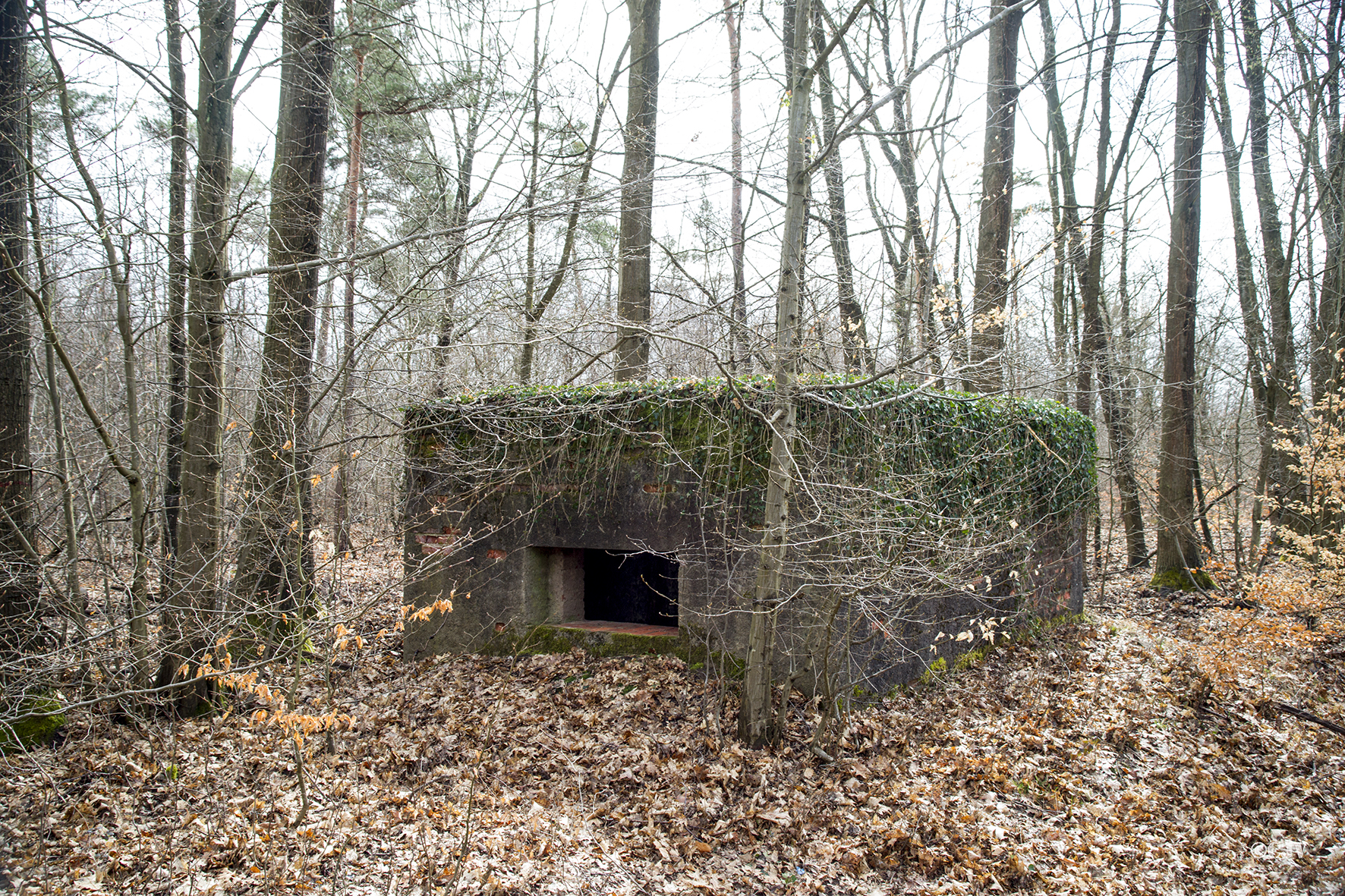 Ligne Maginot - CARREFOUR PERREAUD 2 - (Blockhaus pour canon) -  - Lia VERMEULEN