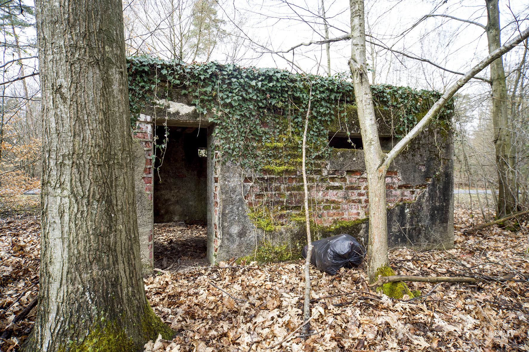 Ligne Maginot - CARREFOUR PERREAUD 2 - (Blockhaus pour canon) -  - Lia VERMEULEN
