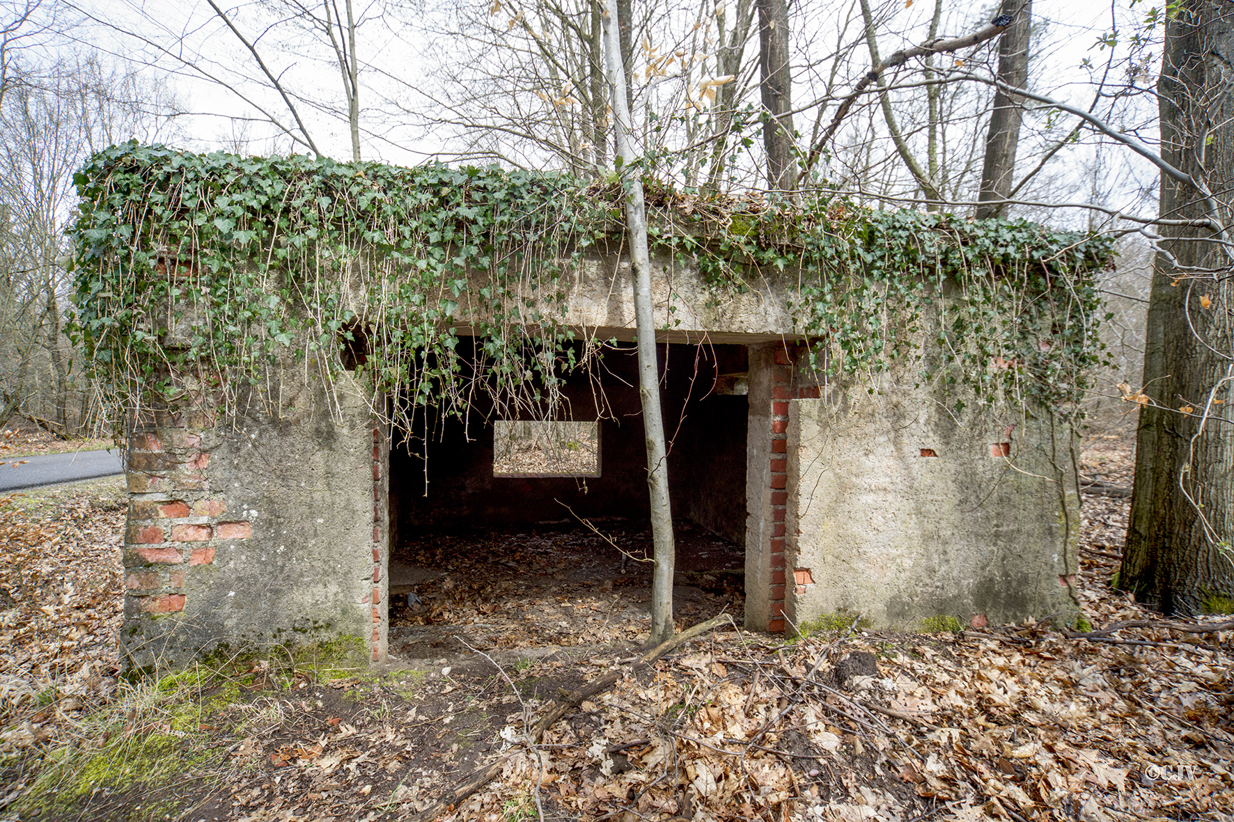 Ligne Maginot - CARREFOUR PERREAUD 2 - (Blockhaus pour canon) -  - Lia VERMEULEN