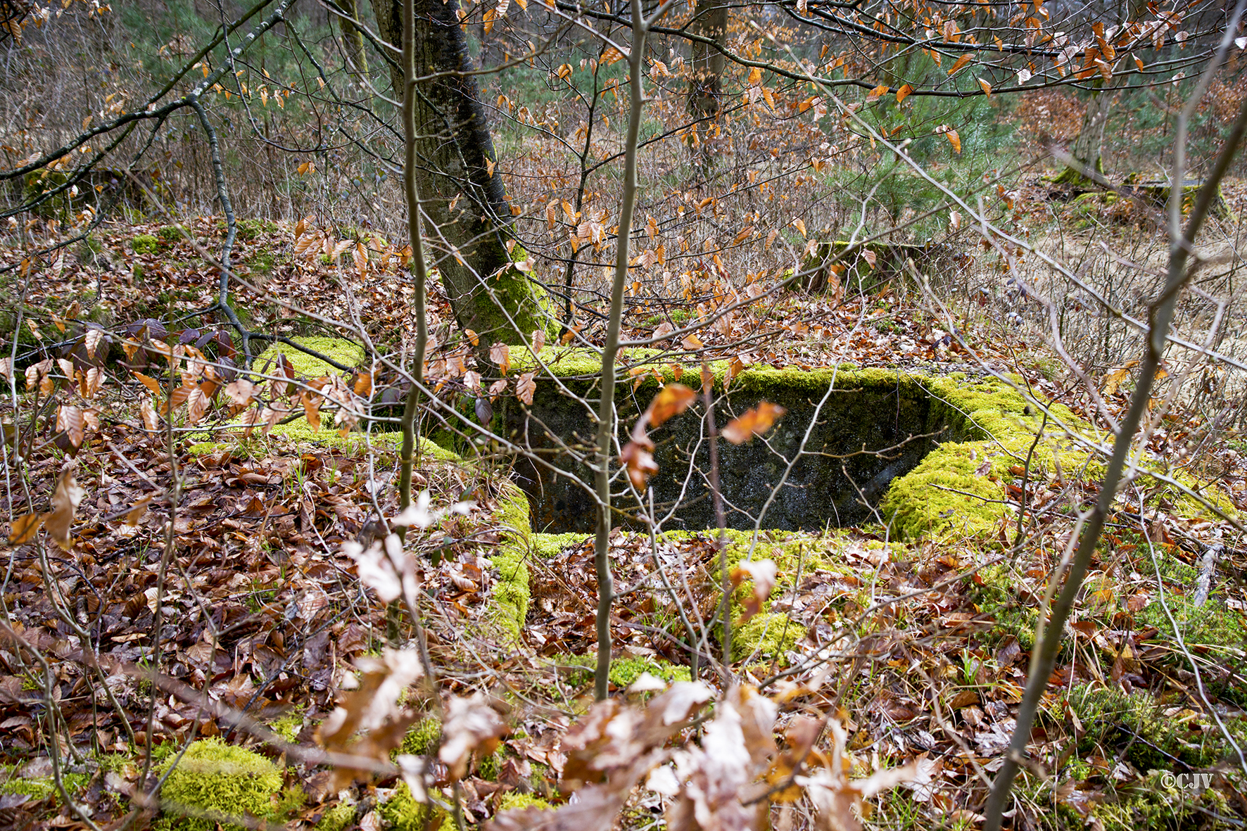 Ligne Maginot - CARREFOUR SUCHAUX 2 (Cuve pour arme d'infanterie) -  - Lia VERMEULEN