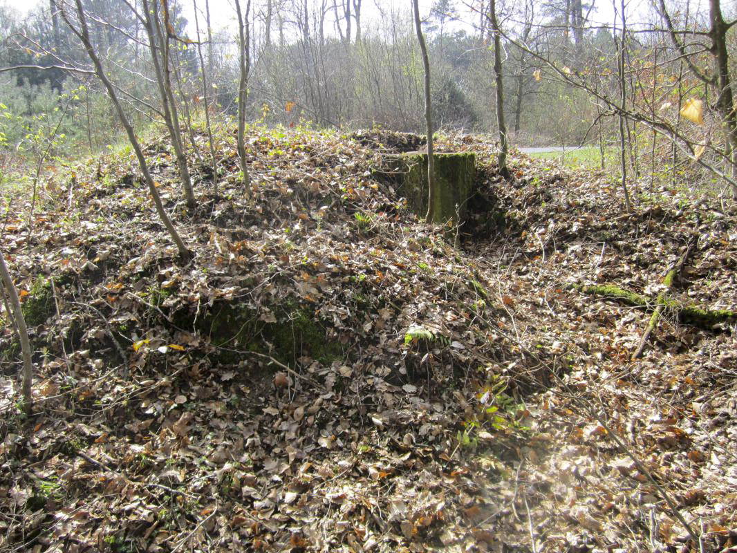 Ligne Maginot - CARREFOUR SUCHAUX 3 - (Cuve pour arme d'infanterie) -  - gregfuchs