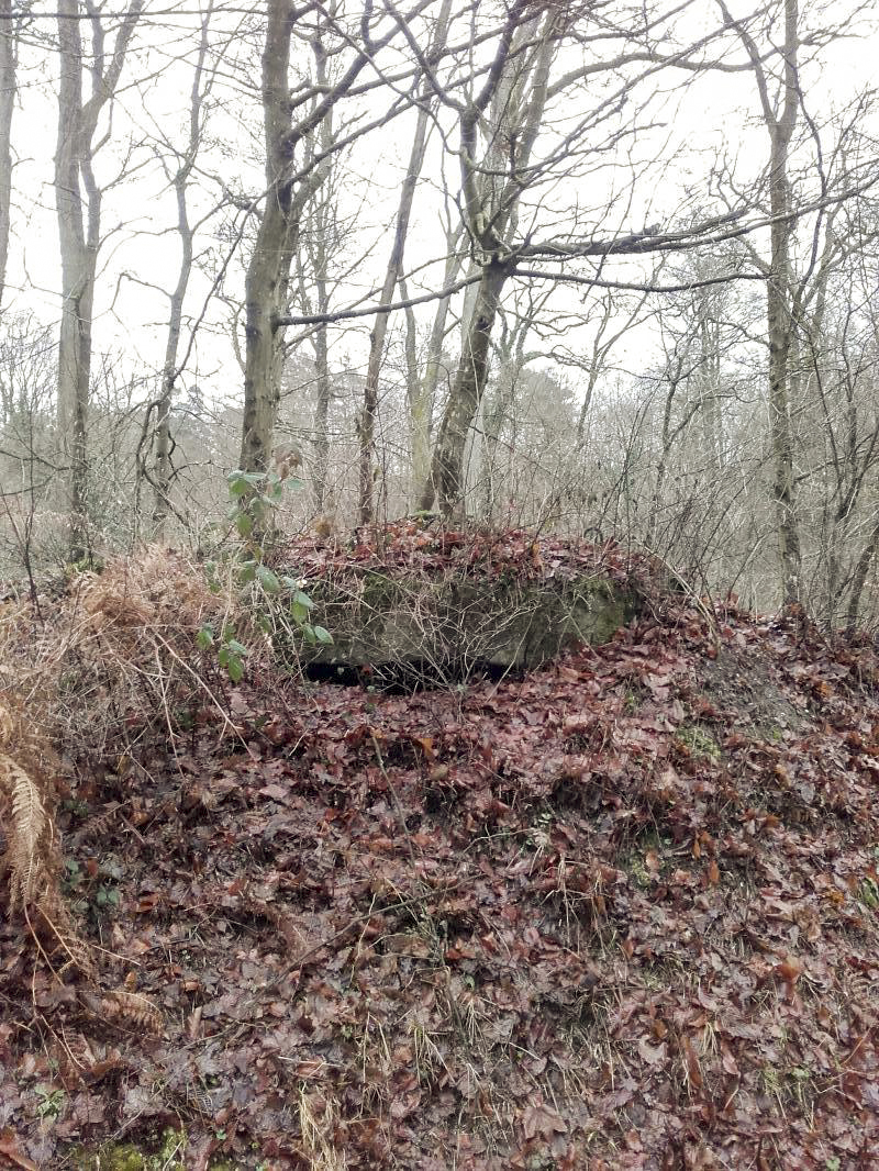 Ligne Maginot - CHENAIE 1 (Blockhaus pour arme infanterie) -  - Martz yannick
