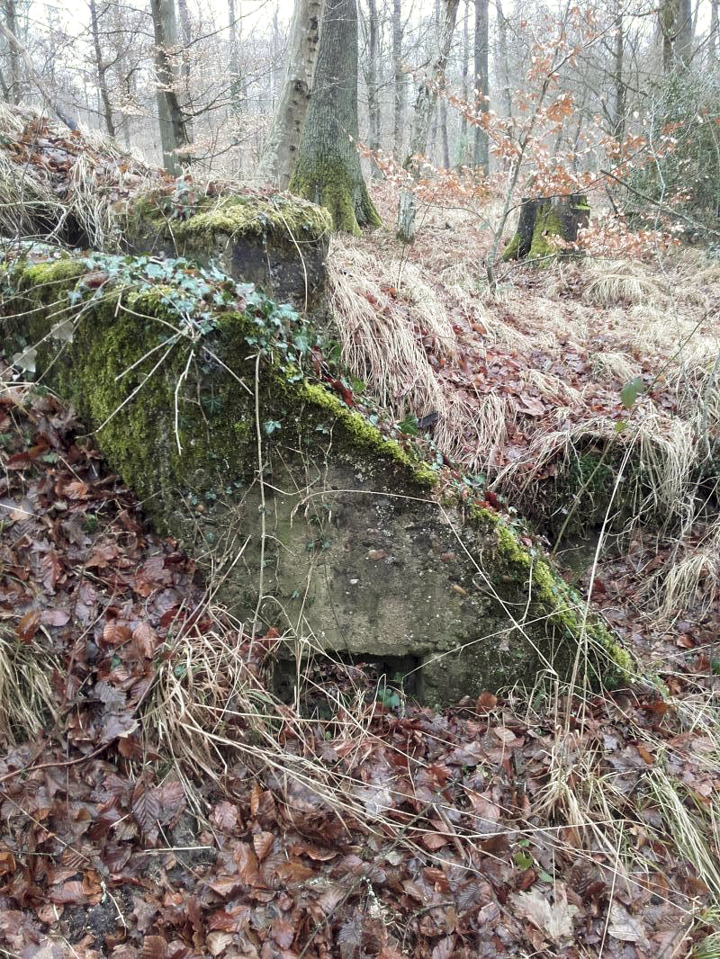 Ligne Maginot - CHENAIE 1 (Blockhaus pour arme infanterie) -  - Martz yannick