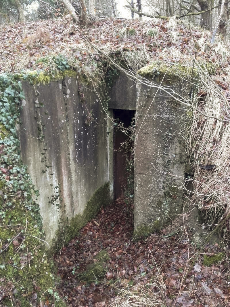 Ligne Maginot - CHENAIE 1 (Blockhaus pour arme infanterie) -  - Martz yannick