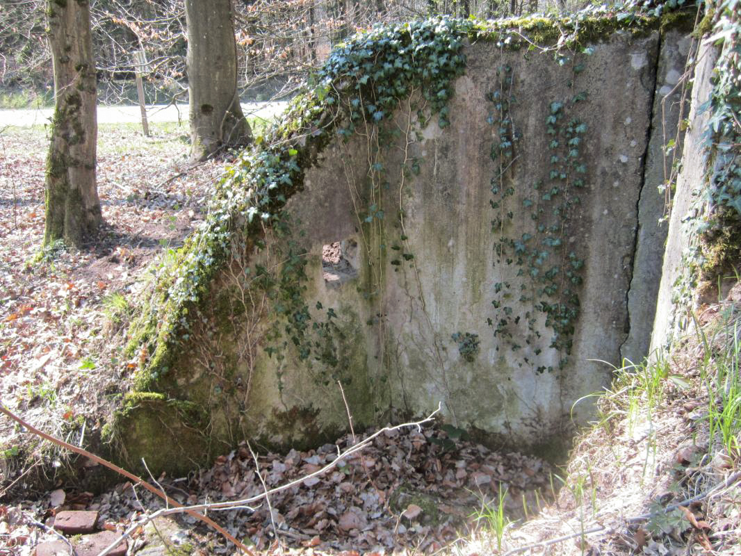Ligne Maginot - CHENAIE 1 - (Blockhaus pour arme infanterie) -  - gregfuchs