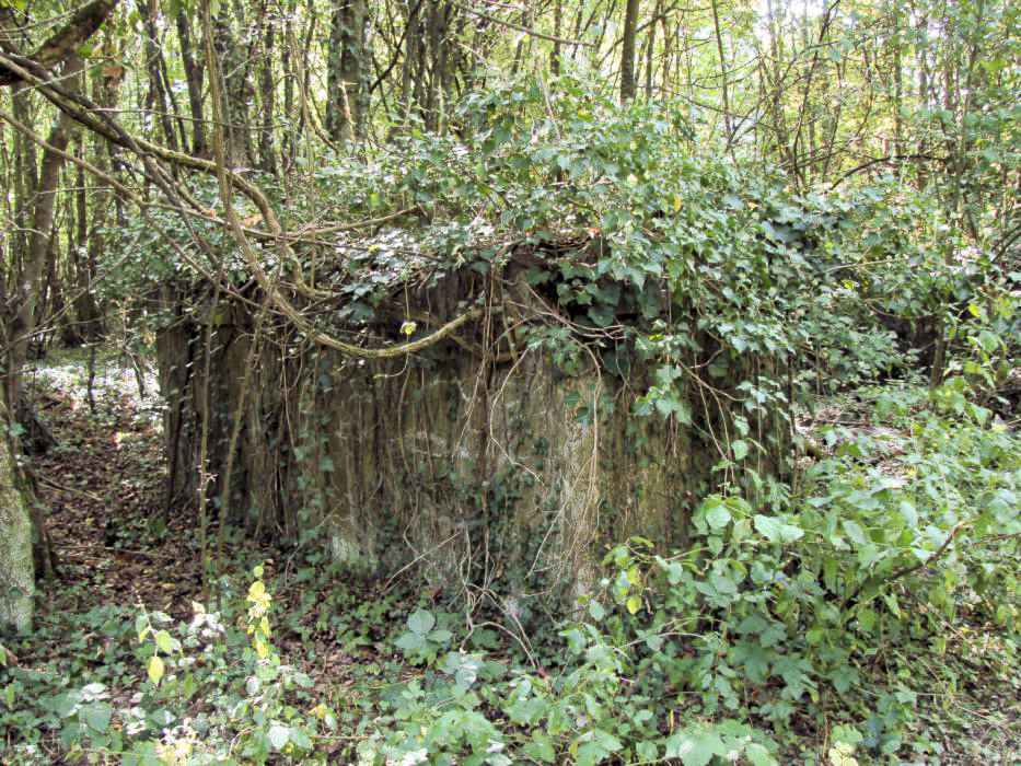 Ligne Maginot - ELZANGE - (Camp de sureté) - Les ruines du camp - Schnoupf