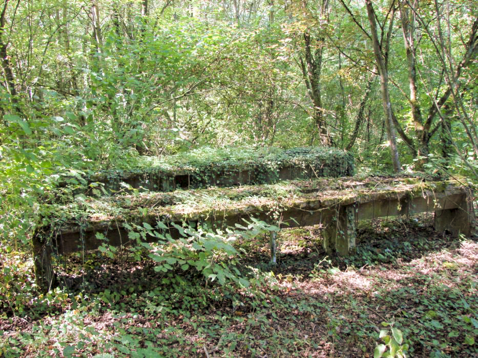 Ligne Maginot - ELZANGE - (Camp de sureté) - Les ruines du camp - Schnoupf