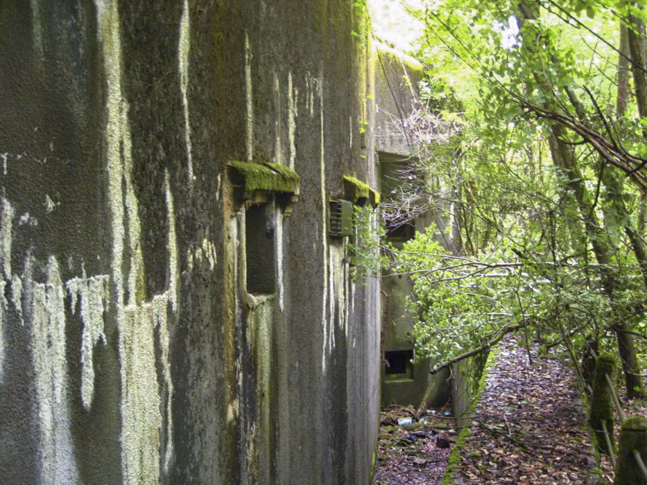 Ligne Maginot - BARRUNGSHOFF - BORNUNGSHOFF - X11 - (Abri) - Vue de la facade avec les moulures au dessus des créneaux - Pruzsina jerome