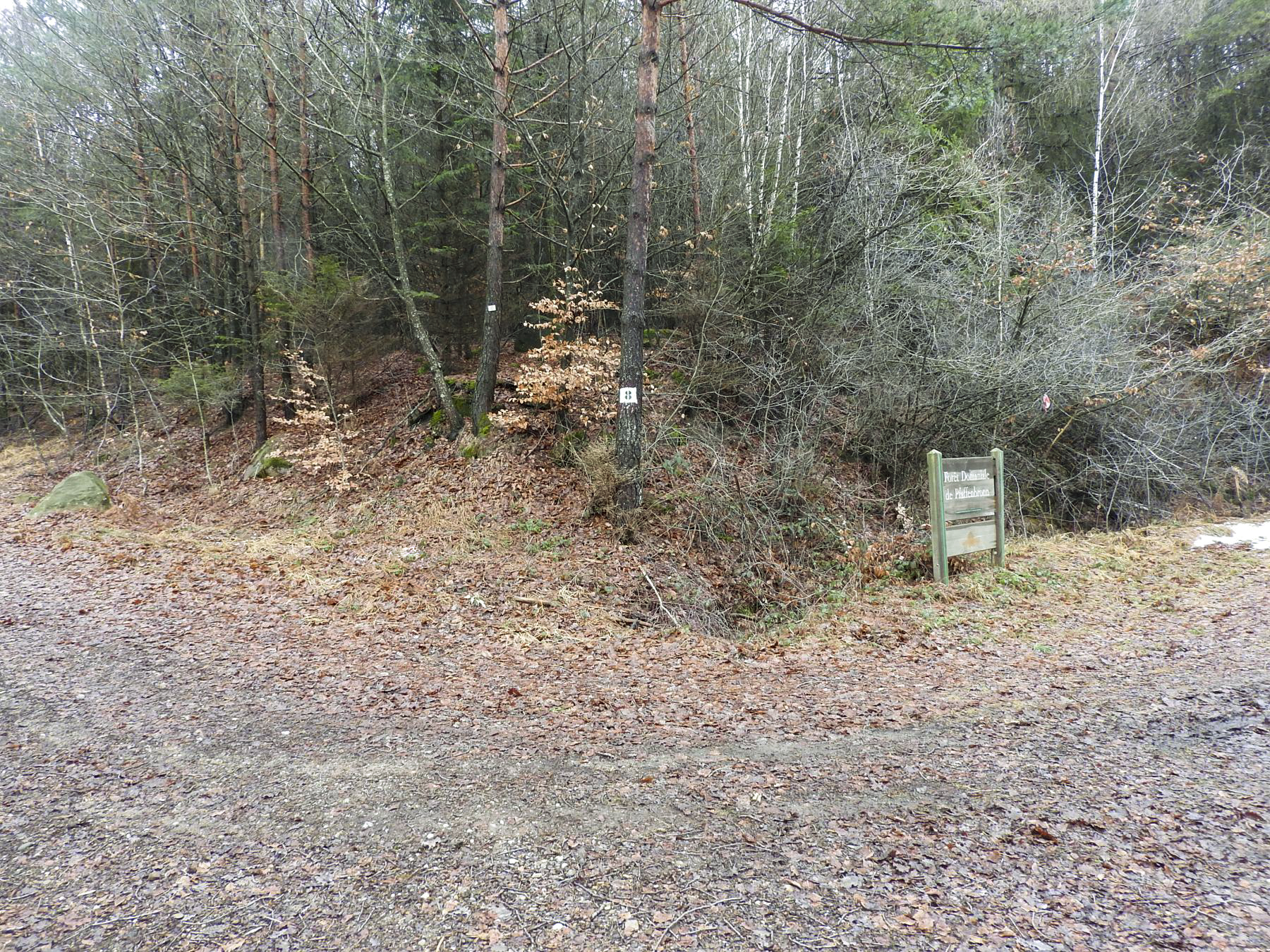 Ligne Maginot - COL DU WIEP 2 - (Blockhaus de type indeterminé) -  - STENGER Mathieu