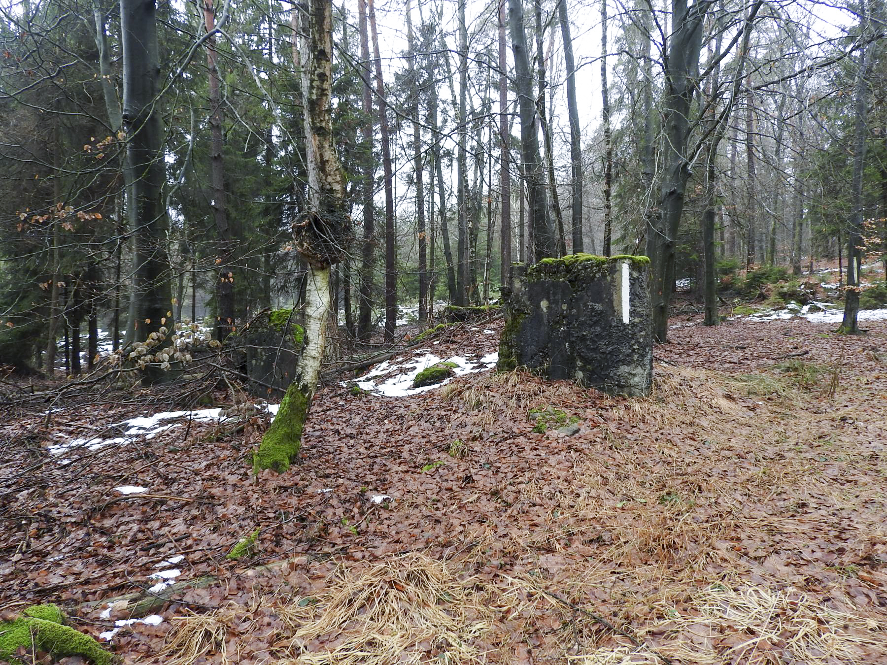 Ligne Maginot - COL DU WIEP 1 - (Blockhaus de type indeterminé) -  - STENGER Mathieu
