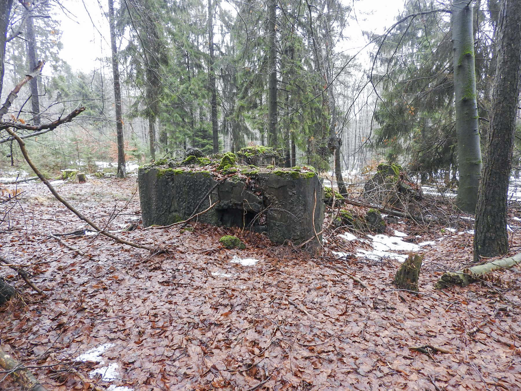 Ligne Maginot - COL DU WIEP 1 - (Blockhaus de type indeterminé) -  - STENGER Mathieu