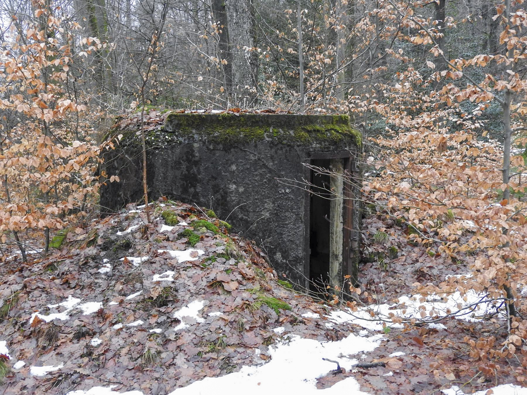 Ligne Maginot - COL DU WIEP  3 - (Blockhaus pour arme infanterie) - Le blockhaus type SFV - STENGER Mathieu