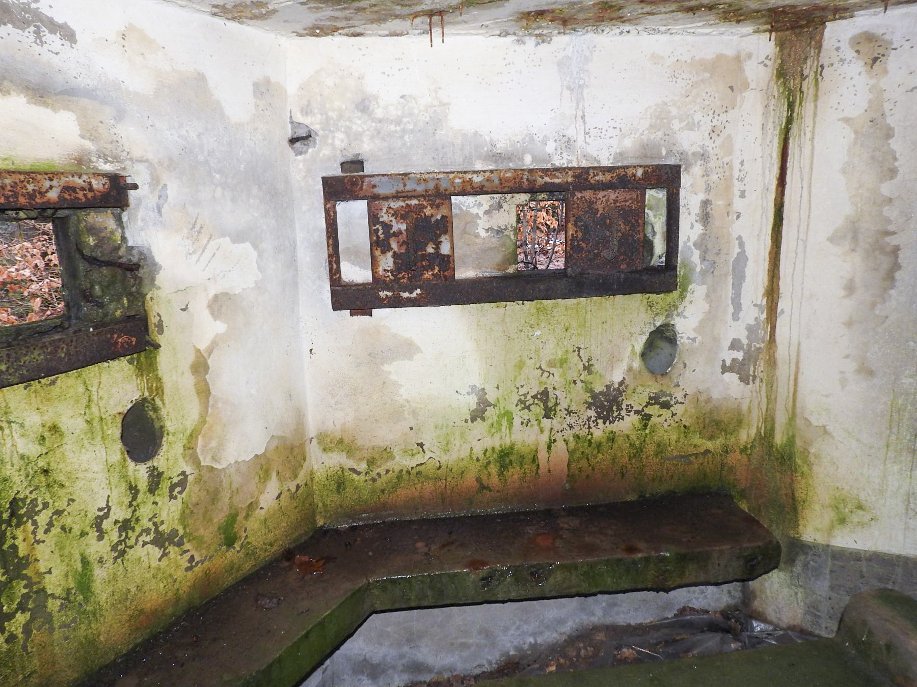 Ligne Maginot - COL DU WIEP  3 - (Blockhaus pour arme infanterie) -  - STENGER Mathieu