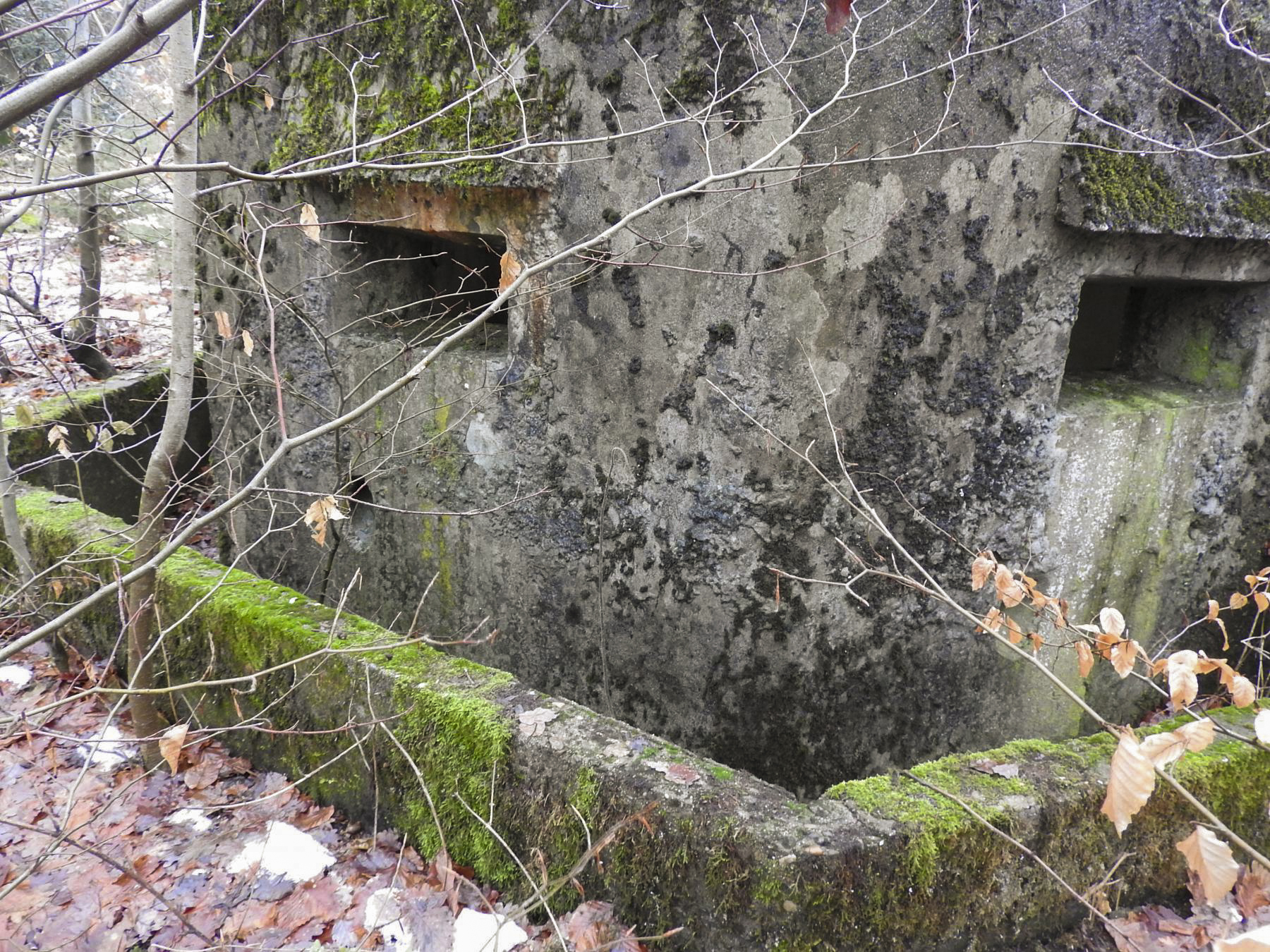 Ligne Maginot - COL DU WIEP  3 - (Blockhaus pour arme infanterie) - Deux des créneaux et le fossé autour de la façade de tir - STENGER Mathieu