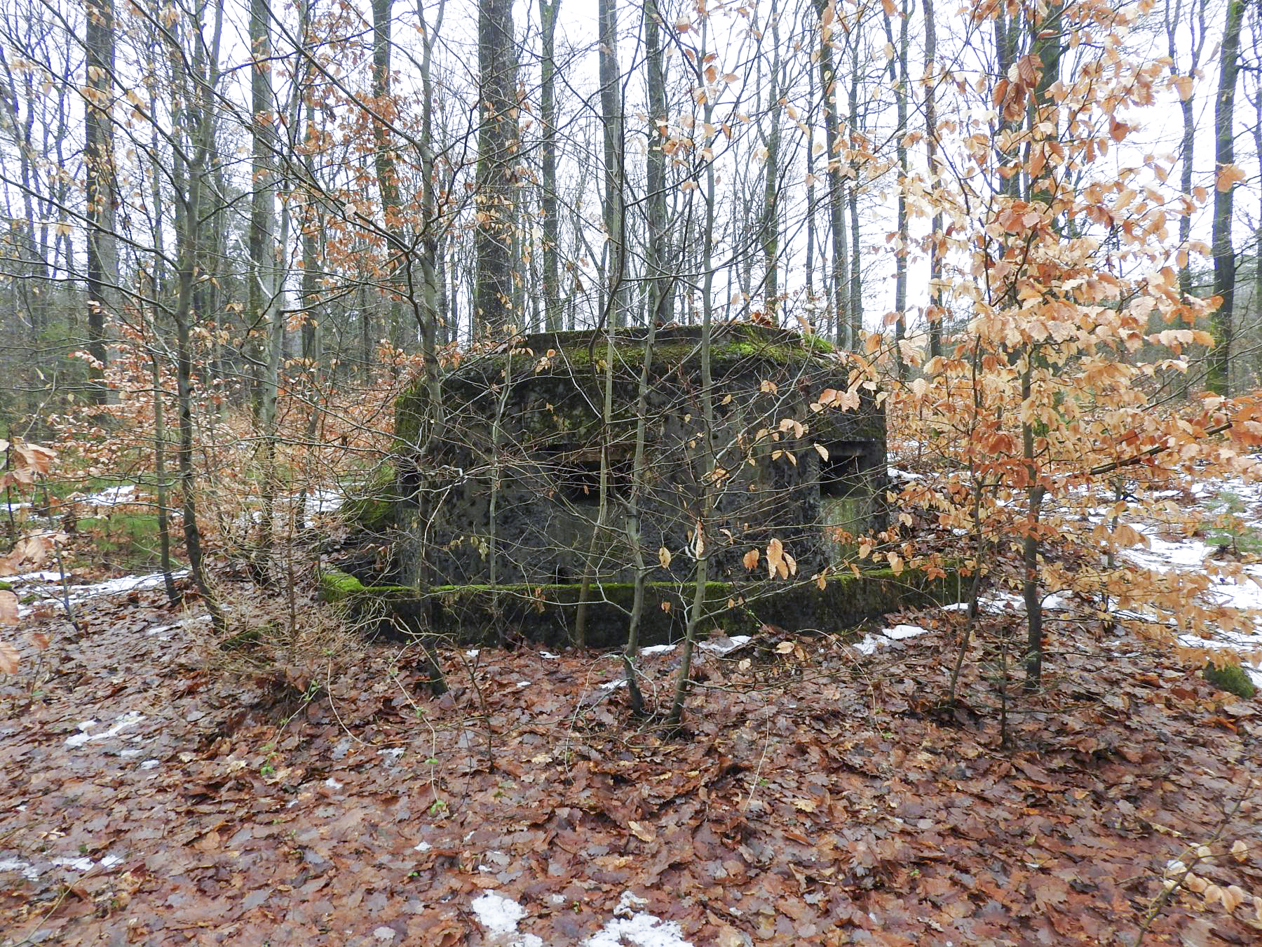 Ligne Maginot - COL DU WIEP  3 - (Blockhaus pour arme infanterie) -  - STENGER Mathieu