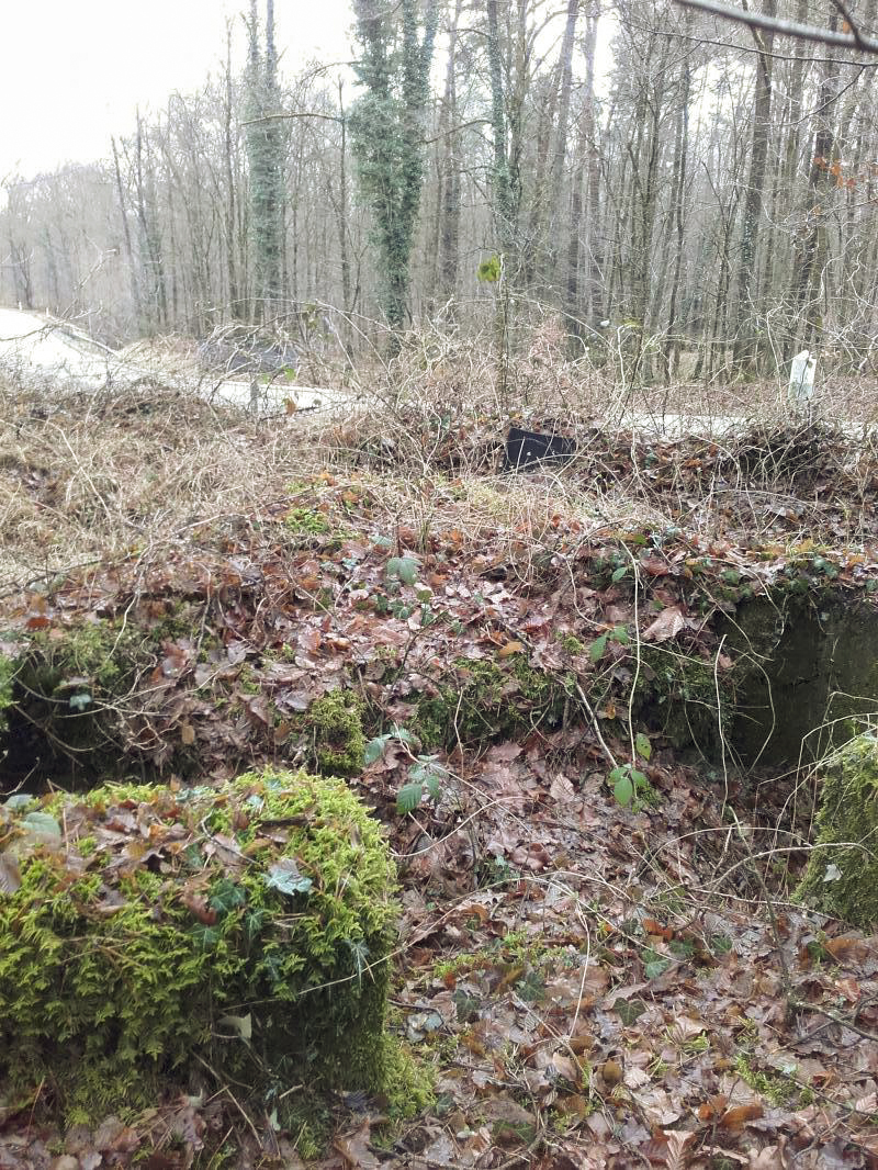 Ligne Maginot - CHENAIE 5 (Cuve pour arme d'infanterie) -  - Martz yannick