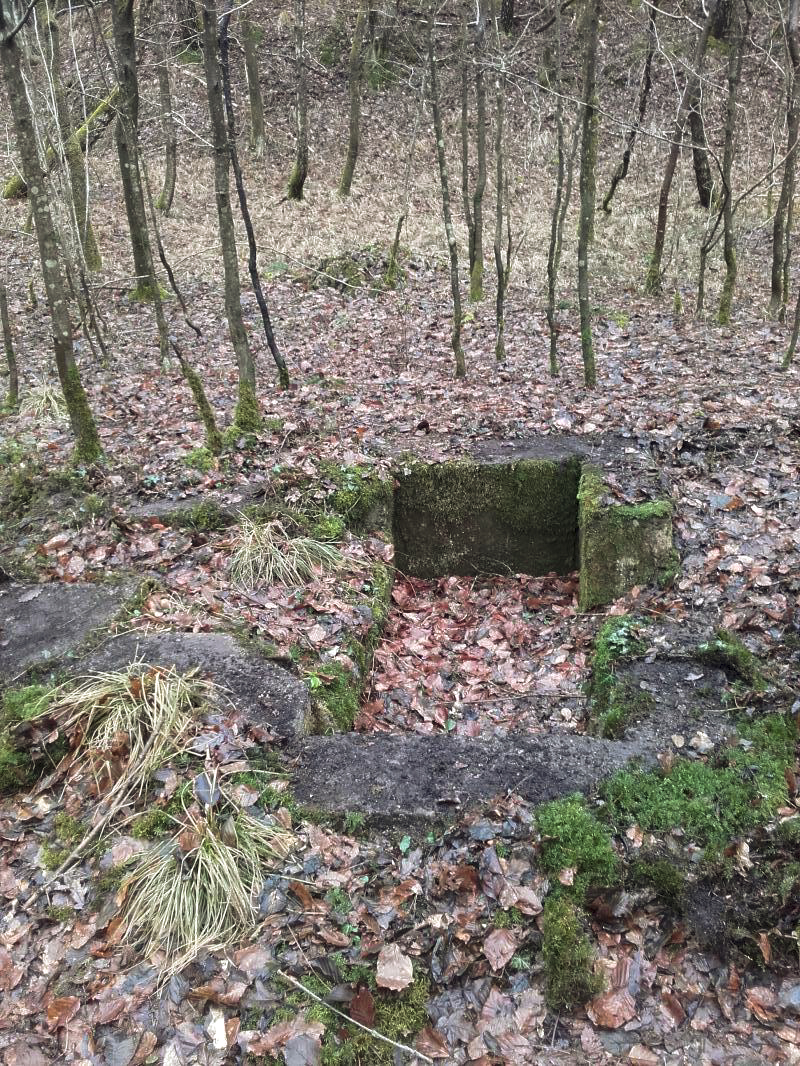 Ligne Maginot - CHENAIE 7 (Cuve pour arme d'infanterie) -  - Martz yannick