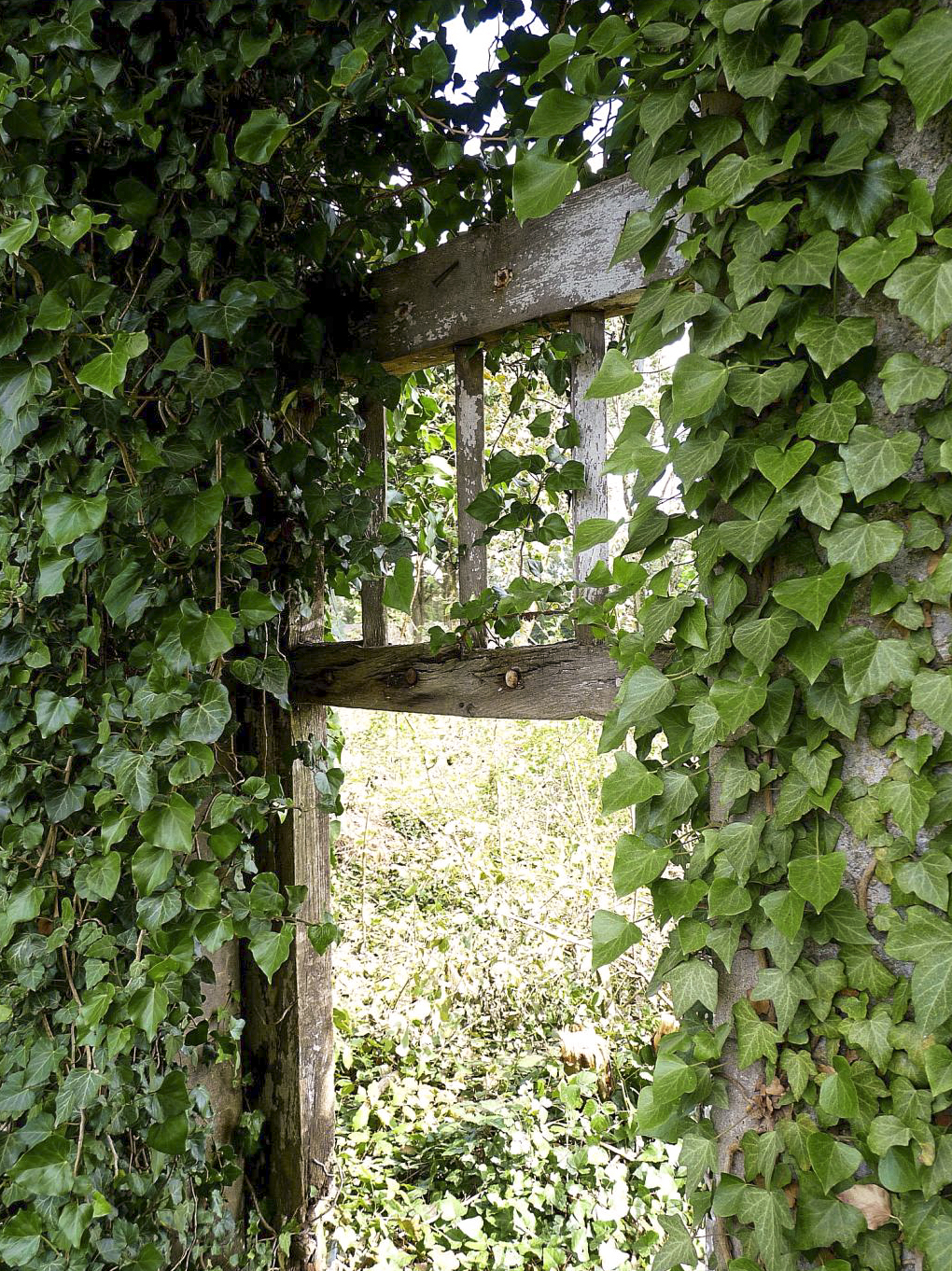 Ligne Maginot - LUDELANGE - (Camp de sureté) - Restes de la porte en bois - Sylvie Laure LAMBERT