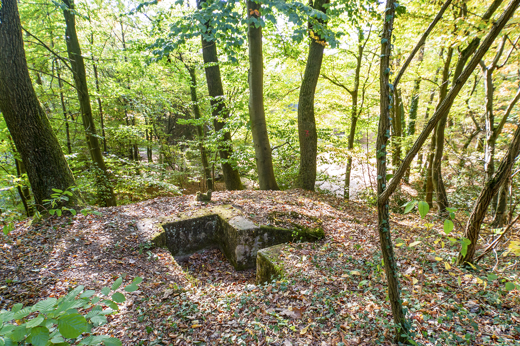 Ligne Maginot - CIMETIERE DE SOUFFLENHEIM 1 - (Cuve pour arme d'infanterie) -  - Lia VERMEULEN