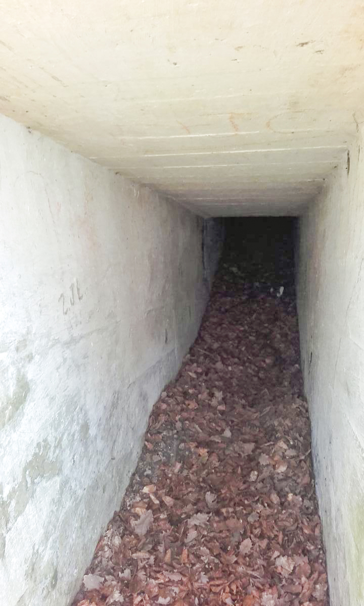Ligne Maginot - CIMETIERE DE SOUFFLENHEIM 2 - (Blockhaus pour arme infanterie) -  - Martz yannick