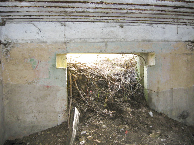Ligne Maginot - FIRST 6 (Blockhaus pour canon) - L'entrée du canon - Christian LENHARD