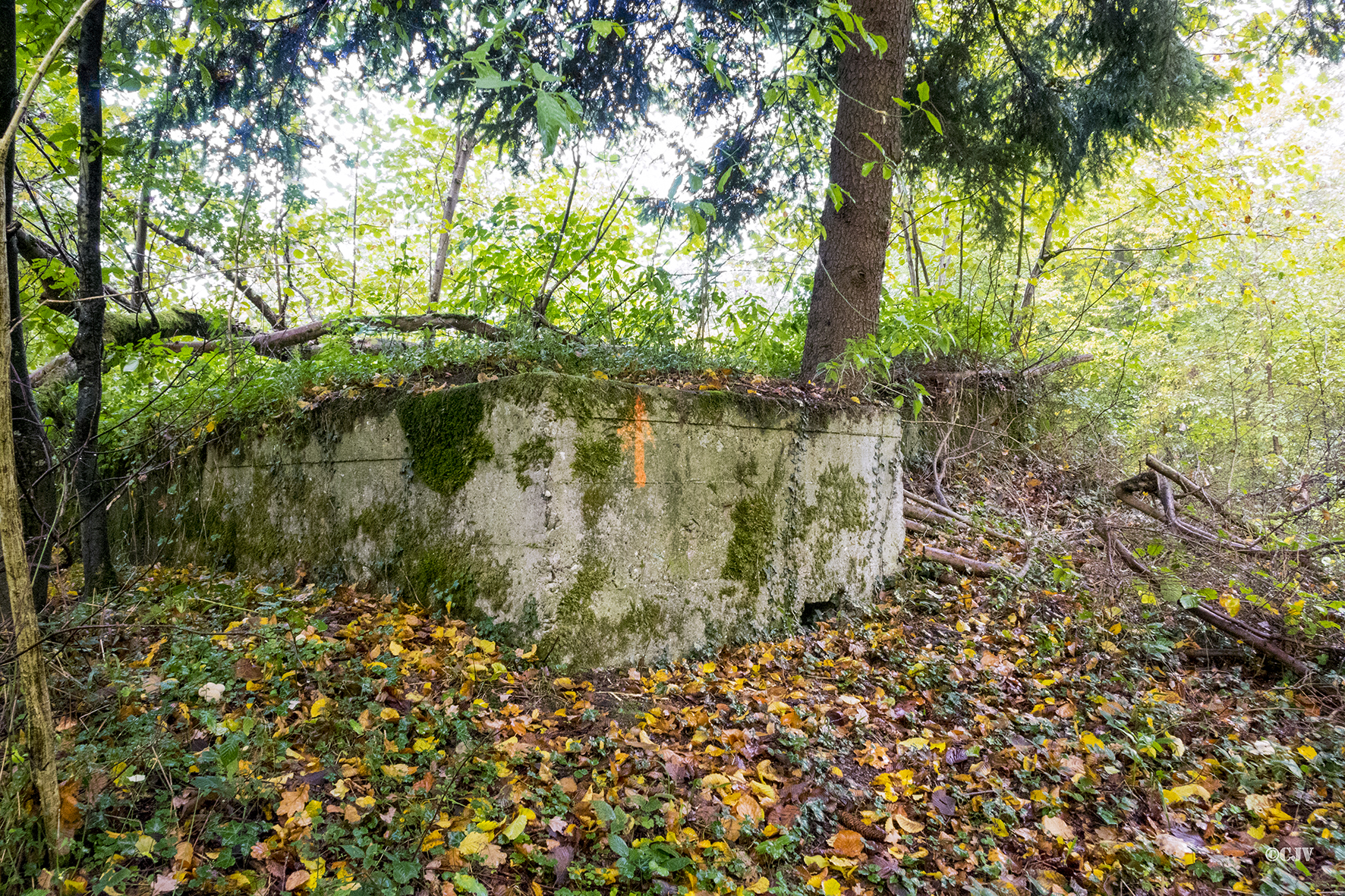 Ligne Maginot - ESCHENGRABEN 1 - (Blockhaus pour arme infanterie) -  - Lia VERMEULEN