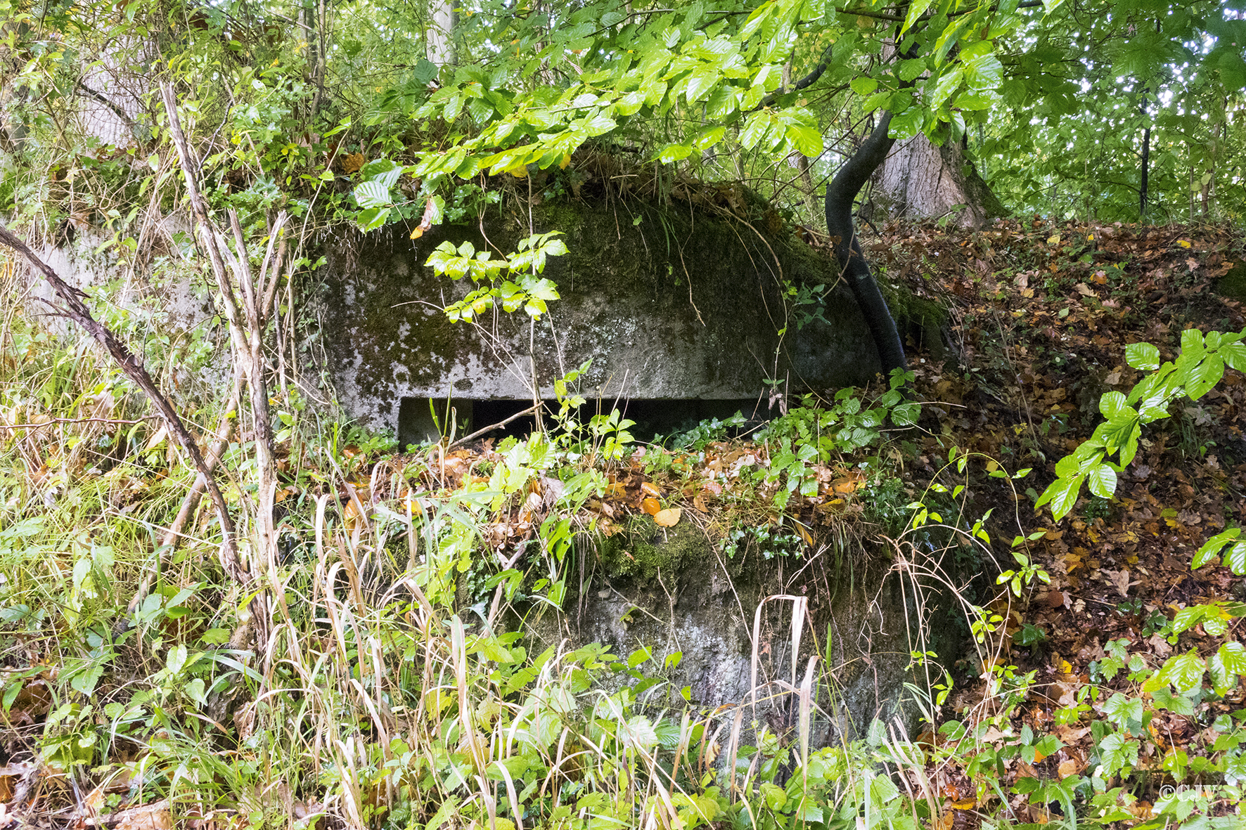 Ligne Maginot - ESCHENGRABEN 3 - (Blockhaus pour arme infanterie) -  - Lia VERMEULEN