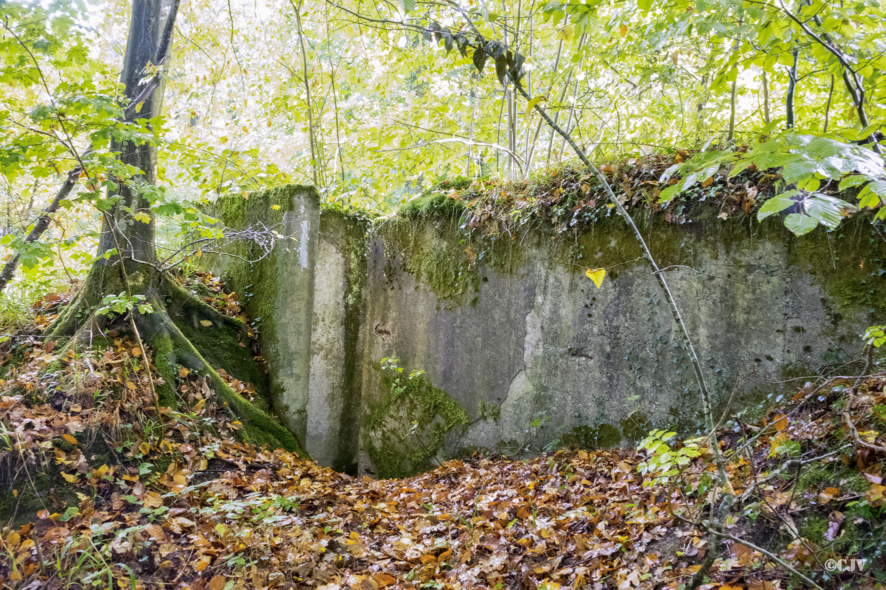 Ligne Maginot - ESCHENGRABEN 3 - (Blockhaus pour arme infanterie) -  - Lia VERMEULEN