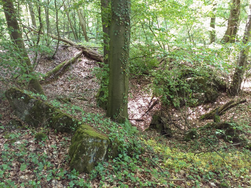 Ligne Maginot - GERRITTMUEHLE 1 - (Blockhaus de type indeterminé) - Cratère de l'explosion ? - gregfuchs