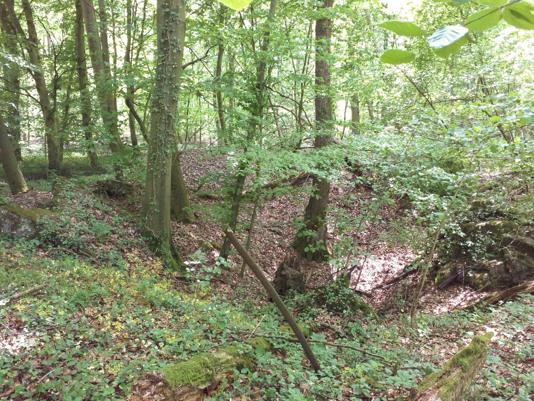 Ligne Maginot - GERRITTMUEHLE 1 - (Blockhaus de type indeterminé) - Cratère de l'explosion ? - gregfuchs