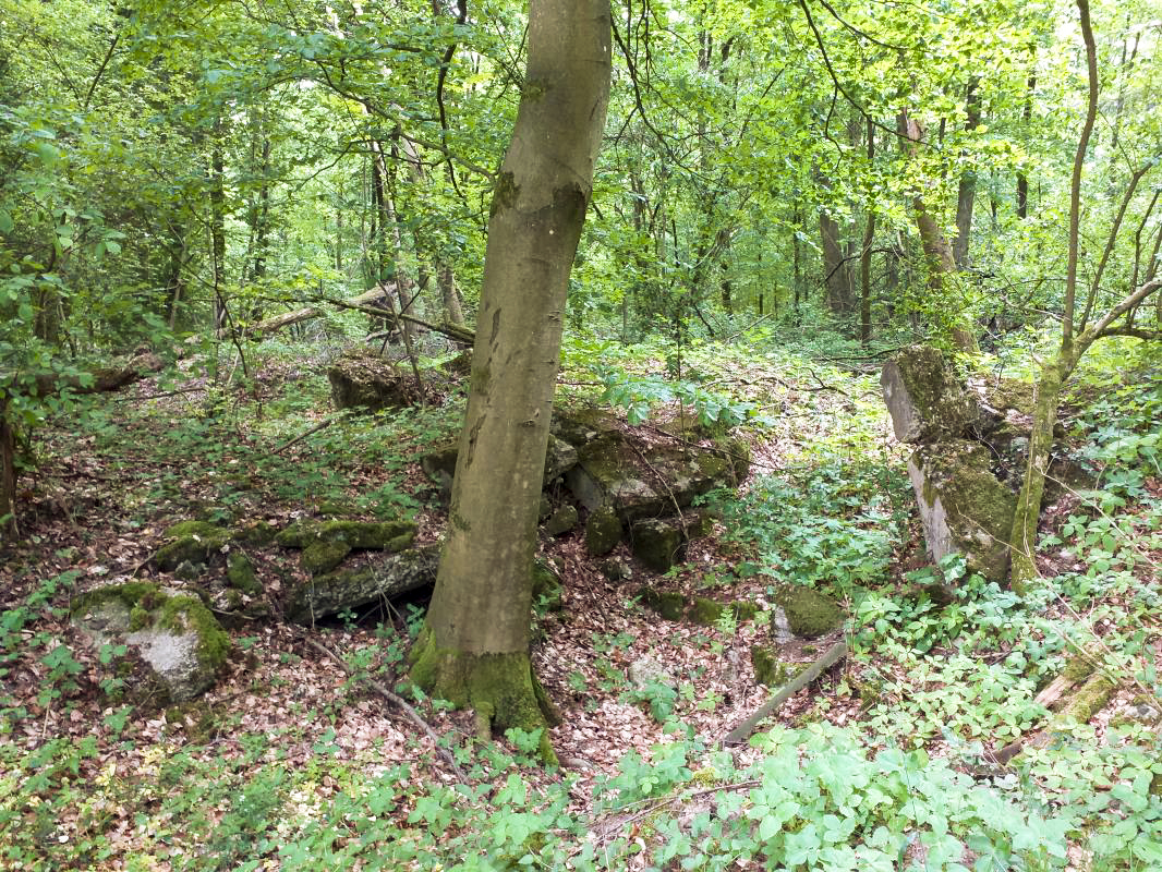 Ligne Maginot - GERRITTMUEHLE 1 - (Blockhaus de type indeterminé) - Amas de béton (à coté du cratère) - gregfuchs