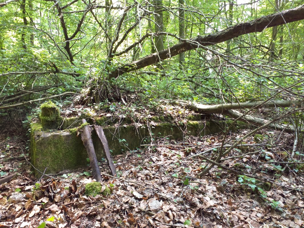 Ligne Maginot - GERRITTMUEHLE 1 - (Blockhaus de type indeterminé) - Fondation de baraquement (derrière les ruines du bloc) - gregfuchs
