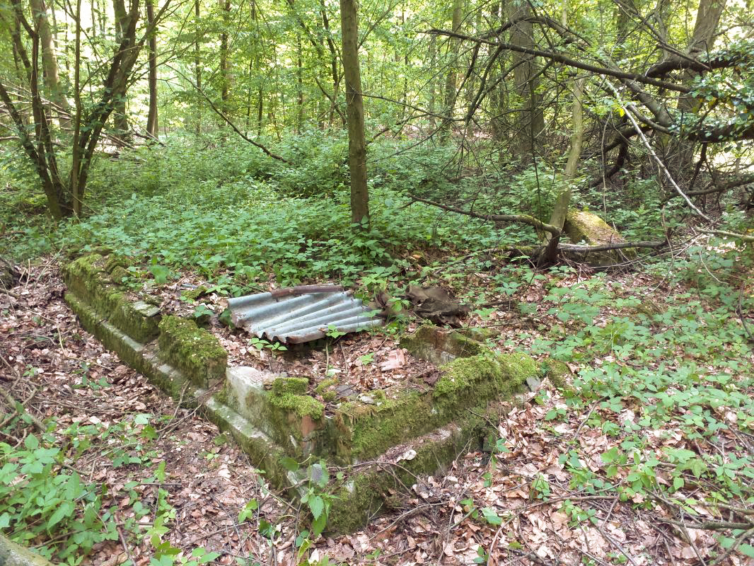 Ligne Maginot - GERRITTMUEHLE 1 - (Blockhaus de type indeterminé) - Fondation de baraquement (derrière les ruines du bloc) - gregfuchs