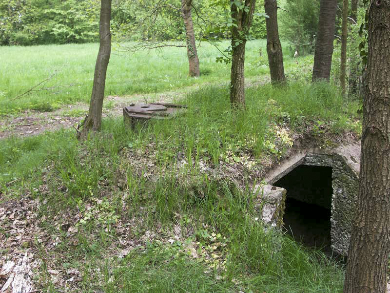 Ligne Maginot - SELTZBACH 4 - (Observatoire d'infanterie) - Vue d'ensemble - LAMBERT Pascal