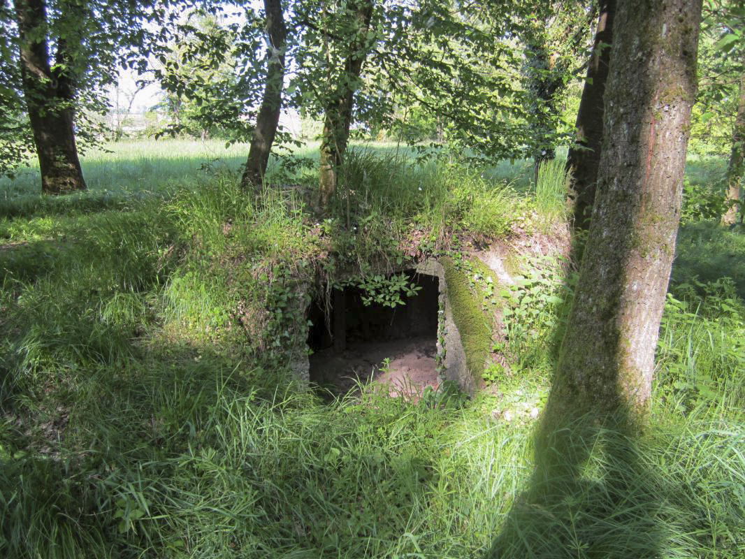 Ligne Maginot - SELTZBACH 4 (Observatoire d'infanterie) -  - gregfuchs