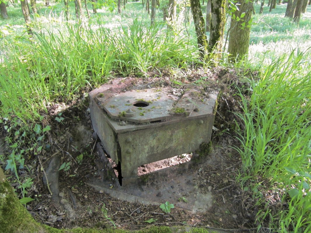 Ligne Maginot - SELTZBACH 4 (Observatoire d'infanterie) -  - gregfuchs