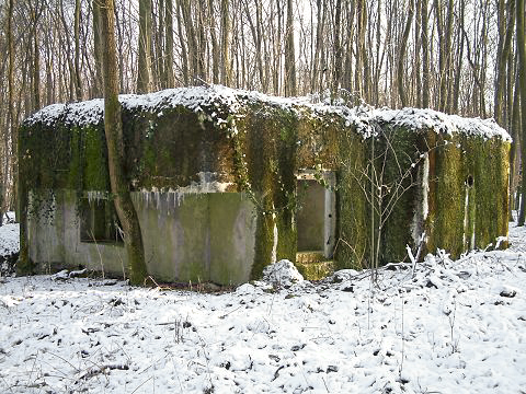 Ligne Maginot - SELTZBACH 3 (Blockhaus pour arme infanterie) - Vue extérieure - AALMA - www.lignemaginot.com