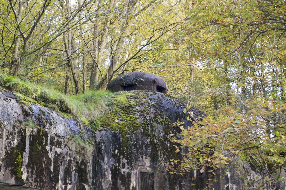 Ligne Maginot - HEIDENBUCKEL - (Abri) - Cloche GFM - BOUCHOUCHA Eric