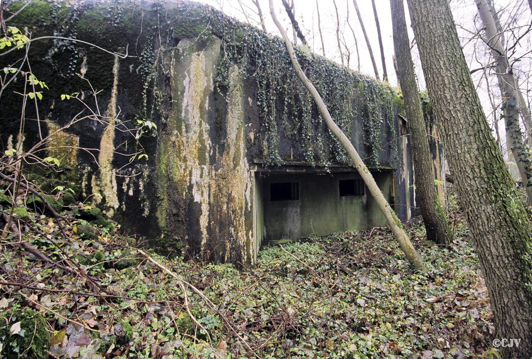 Ligne Maginot - Casemate du Heidenbuckel -  - Caspar Vermeulen