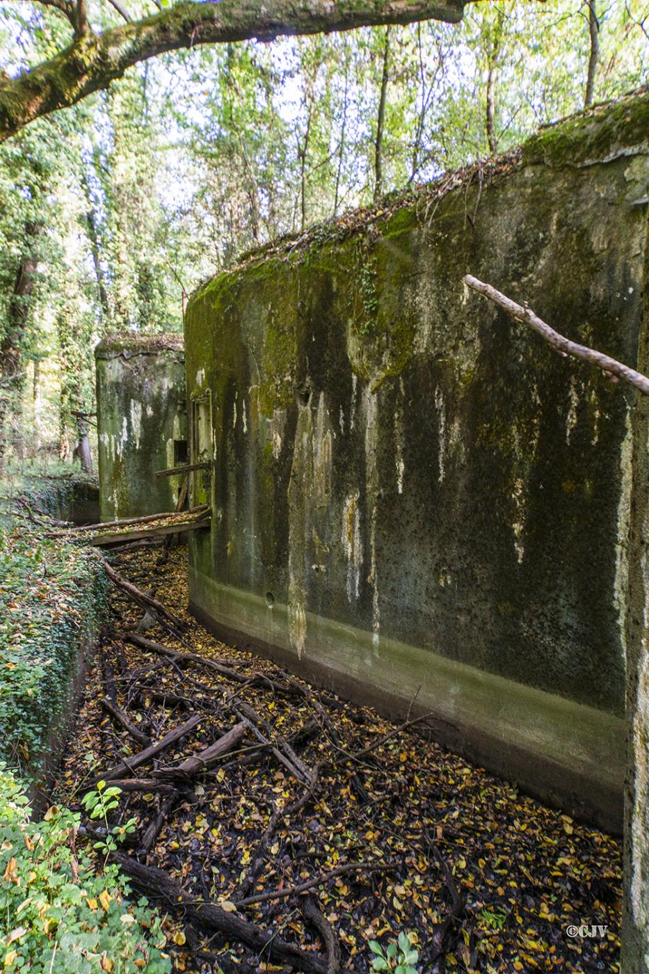 Ligne Maginot - HEIDENBUCKEL - (Casemate d'infanterie - double) -  - Lia Vermeulen