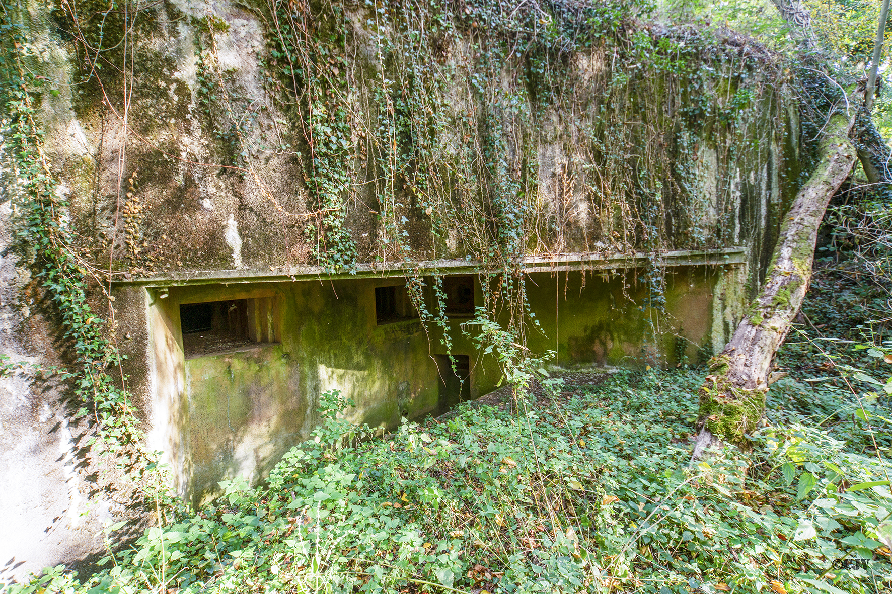 Ligne Maginot - HEIDENBUCKEL - (Casemate d'infanterie - double) -  - Lia Vermeulen