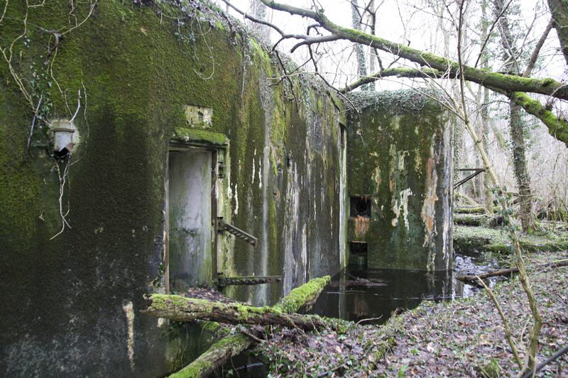 Ligne Maginot - Casemate du Heidenbuckel -  - GRUBER Franck