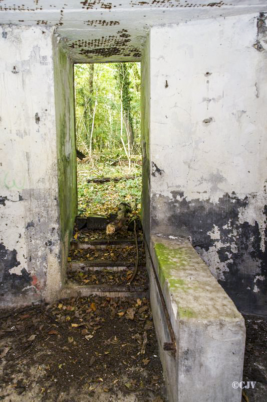 Ligne Maginot - HEIDENBUCKEL - (Casemate d'infanterie - double) -  - Lia Vermeulen